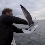 Un pescador atrapa una gaviota en pleno vuelo