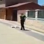 Graban a un Guardia Civil matando a un perro de un disparo en Valdorros (Burgos)