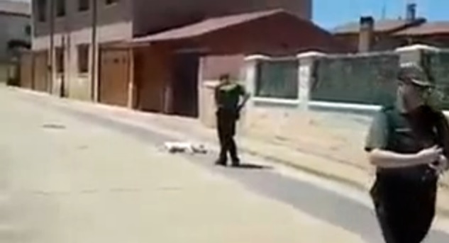 Graban a un Guardia Civil matando a un perro de un disparo en Valdorros (Burgos)