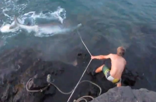 El joven que atrapó un tiburón con una cuerda y subió el vídeo a YouTube podría ser demandado