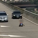 Un niño es sorprendido conduciendo un triciclo por una autopista de Brasil