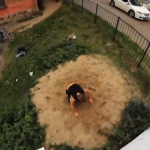 Parkour extremo (Rusia)