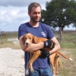 Mira la reacción de un perro ciego al ver por primera vez