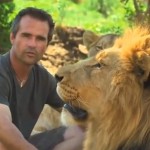 Kevin Richardson, el hombre que susurra a los leones