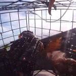 GoPro en una trampa para cangrejos
