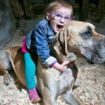 Un gran danés detecta los ataques epilépticos de una niña de tres años 20 minutos antes de que se produzcan