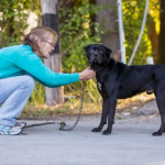 Una mujer ayuda a sacar la pesada cadena que ataba a un perro