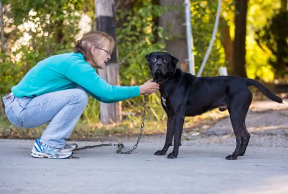 Una mujer ayuda a sacar la pesada cadena que ataba a un perro