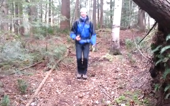 Cama elástica natural en mitad del bosque