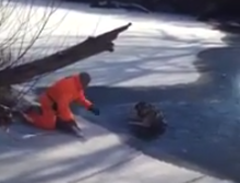 Cazadores salvan a un perro de una muerte segura en un lago congelado