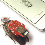 Controla una cucaracha viva con tu smartphone