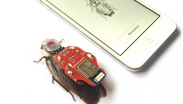Controla una cucaracha viva con tu smartphone
