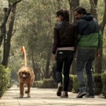 El dueño invisible: Ingeniosa y emotiva campaña para fomentar la adopción de perros abandonados