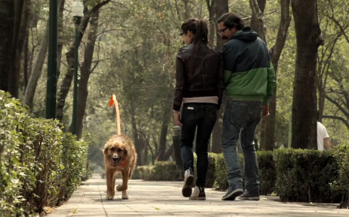 El dueño invisible: Ingeniosa y emotiva campaña para fomentar la adopción de perros abandonados
