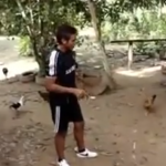 El encantador de gallinas