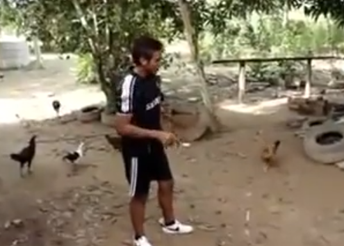 El encantador de gallinas