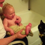 Gato lamiéndole los pies a un bebé después de la ducha