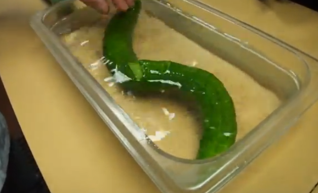 Un cocinero convierte un pepino en una serpiente