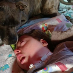 Tascha, el perro que lleva 6 años cuidando a un niño de 10 años que está en estado de coma