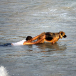 Un hombre palestino enseña a su perro a rescatar inmigrantes atrapados en el mar