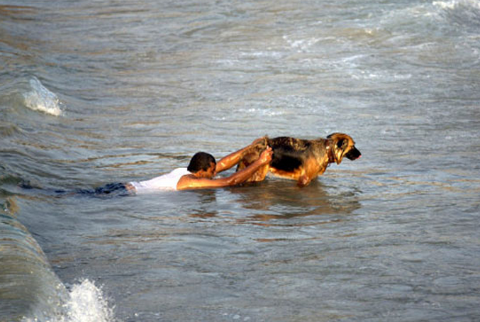 Un hombre palestino enseña a su perro a rescatar inmigrantes atrapados en el mar