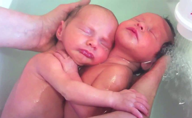 Dos gemelos que parece que no se han enterado de que han nacido triunfan en la red
