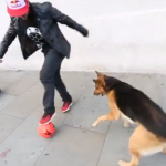 Séan Garnier (campeón del mundo de fútbol freestyle) vs. perro