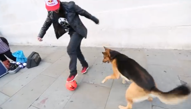 Séan Garnier (campeón del mundo de fútbol freestyle) vs. perro