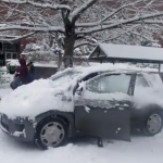 Estudiantes atacan a base de bolazos de nieve a cada coche que sale de la Universidad