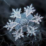 La increíble belleza de los cristales de hielo captada por un fotógrafo aficionado