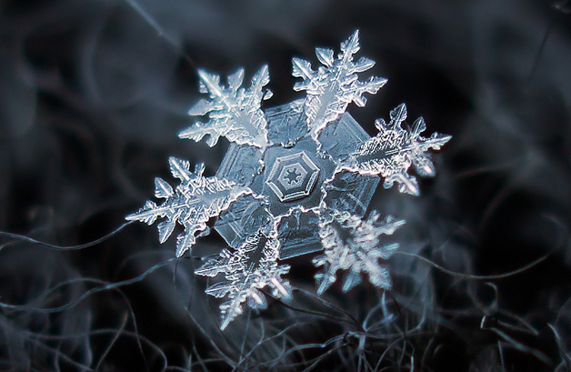 La increíble belleza de los cristales de hielo captada por un fotógrafo aficionado