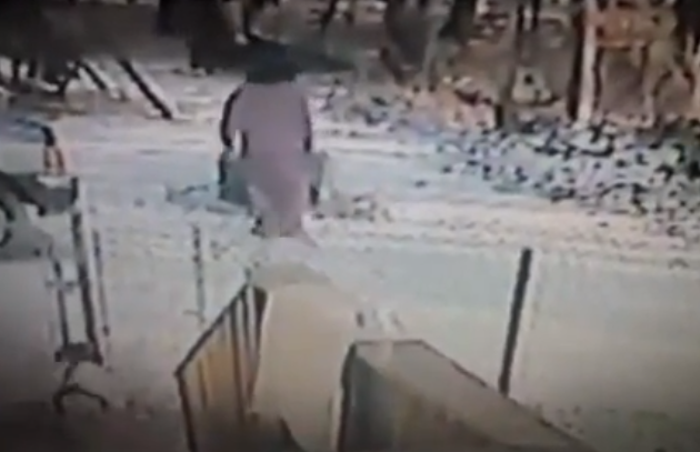 Un gato se lanza a la cabeza de una mujer que le tiraba nieve con el pie (Vídeo)