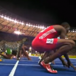 NatGeoWild recrea como sería una carrera de 100 metros entre un guepardo y Usain Bolt