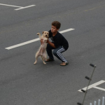 Un niño de 11 años rescata a un perrito atropellado en medio de una carretera muy transitada de Brasil