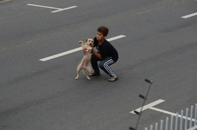 Un niño de 11 años rescata a un perrito atropellado en medio de una carretera muy transitada de Brasil