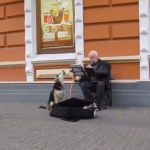 Adorable dúo musical: Un músico callejero adopta a un perro vagabundo
