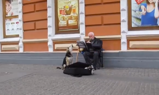 Adorable dúo musical: Un músico callejero adopta a un perro vagabundo