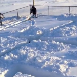 El perro y el laberinto de nieve: Uno de los mejores juegos para perros