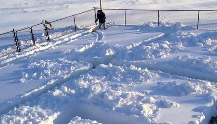 El perro y el laberinto de nieve: Uno de los mejores juegos para perros