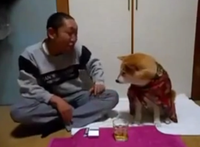 Este perro no permite que su dueño beba alcohol