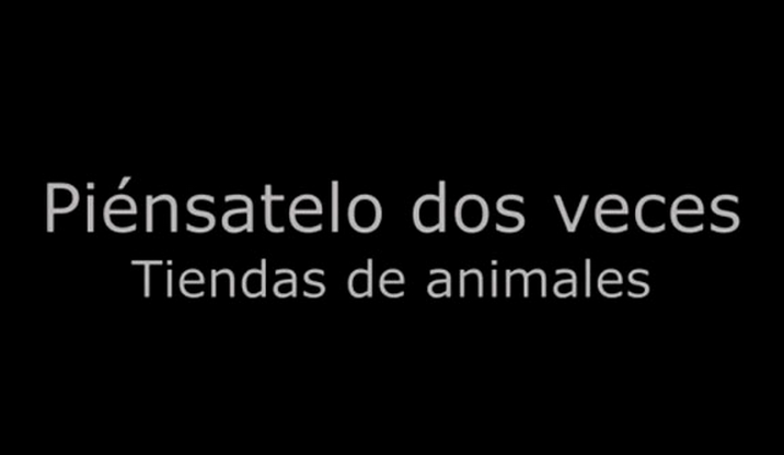 Si tienes pensado comprar un cachorro en una tienda de animales por favor mira este vídeo