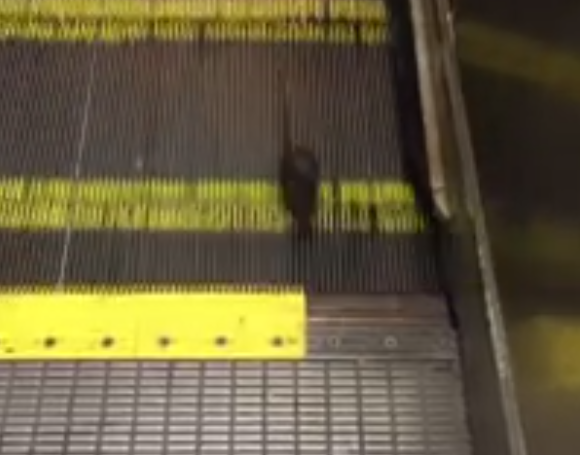 Una rata se queda atrapada en las escaleras mecánicas del metro de San Francisco (Vídeo)