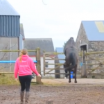 Un caballo intenta un salto imposible