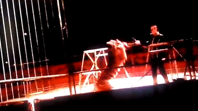 Un tigre ataca a un domador en plena actuación en un circo de Madrid (Vídeo)