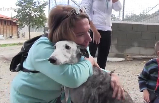 EJEMPLO: Una familia adopta a una galga de 8 años que fue abandonada, está coja y tiene leishmaniosis