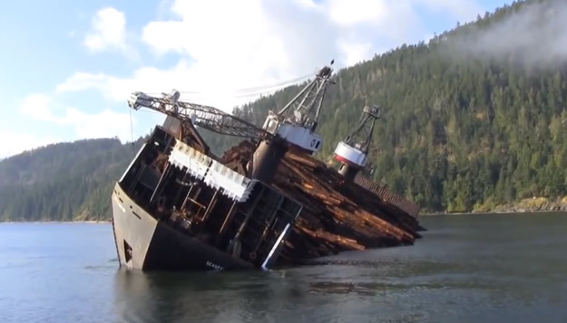 Así es como descargan un barco lleno de troncos en Canadá, en cuestión de segundos