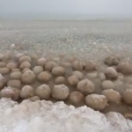 Bolas de hielo en la orilla del lago Michigan