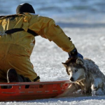 Un bombero arriesga su vida para salvar a un husky de las aguas heladas (Fotos)