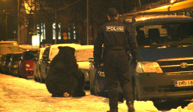 Policía: ''Hay un tipo en un traje de oso...''