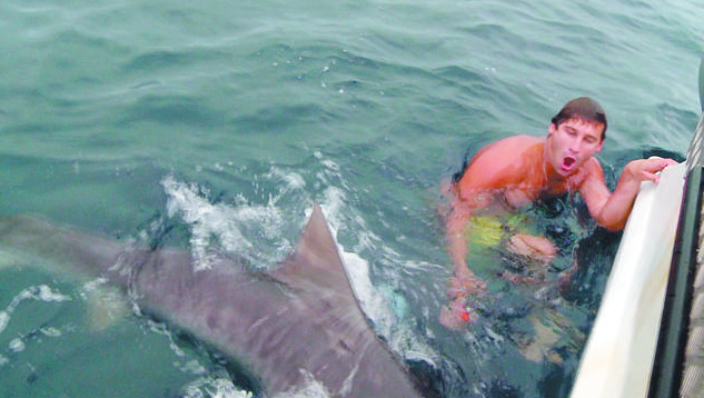 Bucear entre tiburones con ¿una jaula de pájaros?